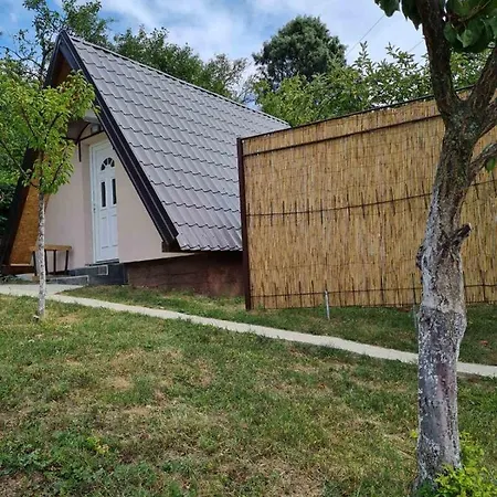 Radakovic Lejlighed *