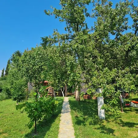 Radakovic * Vrdnik