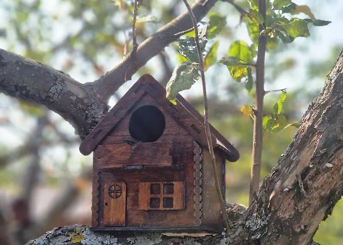 Radakovic アパート